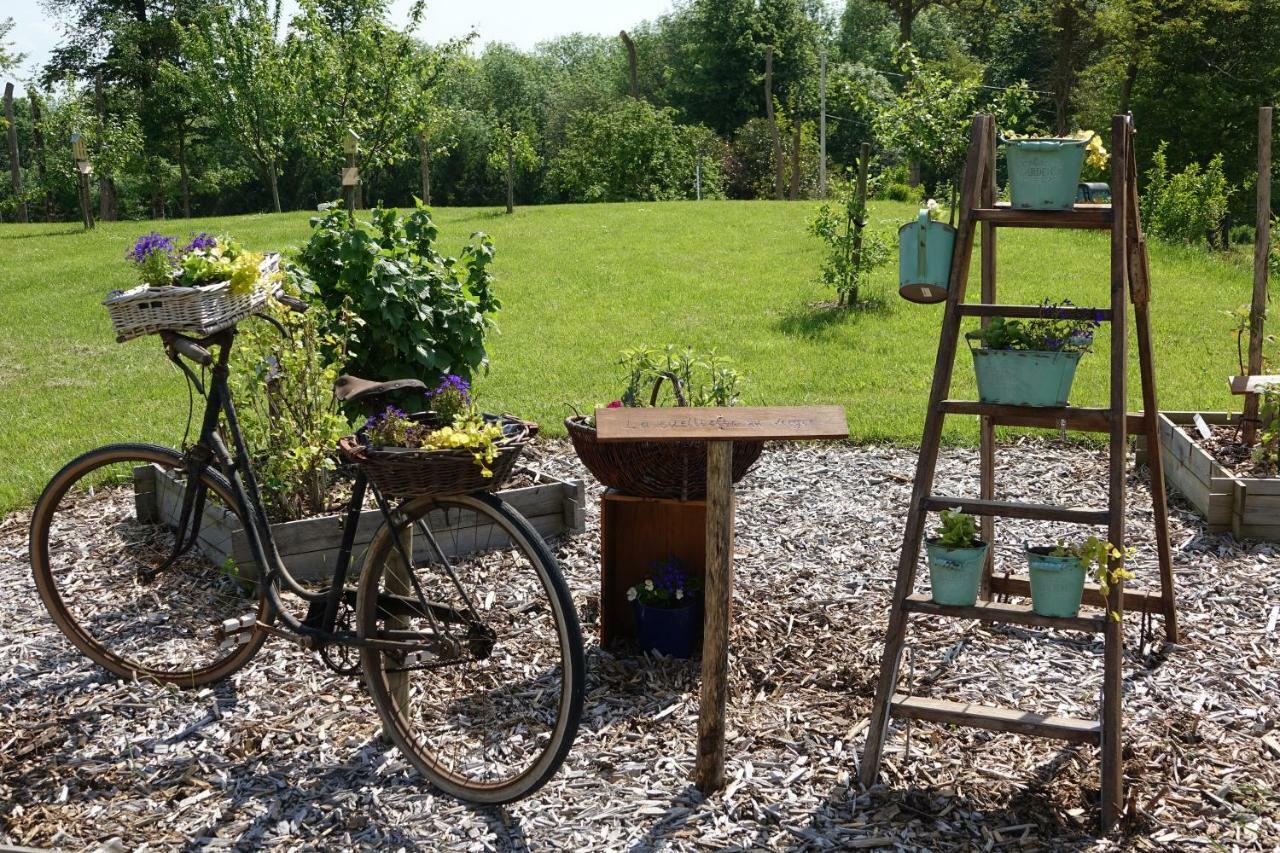 فندق Le Manoir Des Aromes Brugny-Vaudancourt المظهر الخارجي الصورة